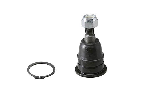 Rotule de suspension (Rotule de pivot) AISIN JBJNI-017